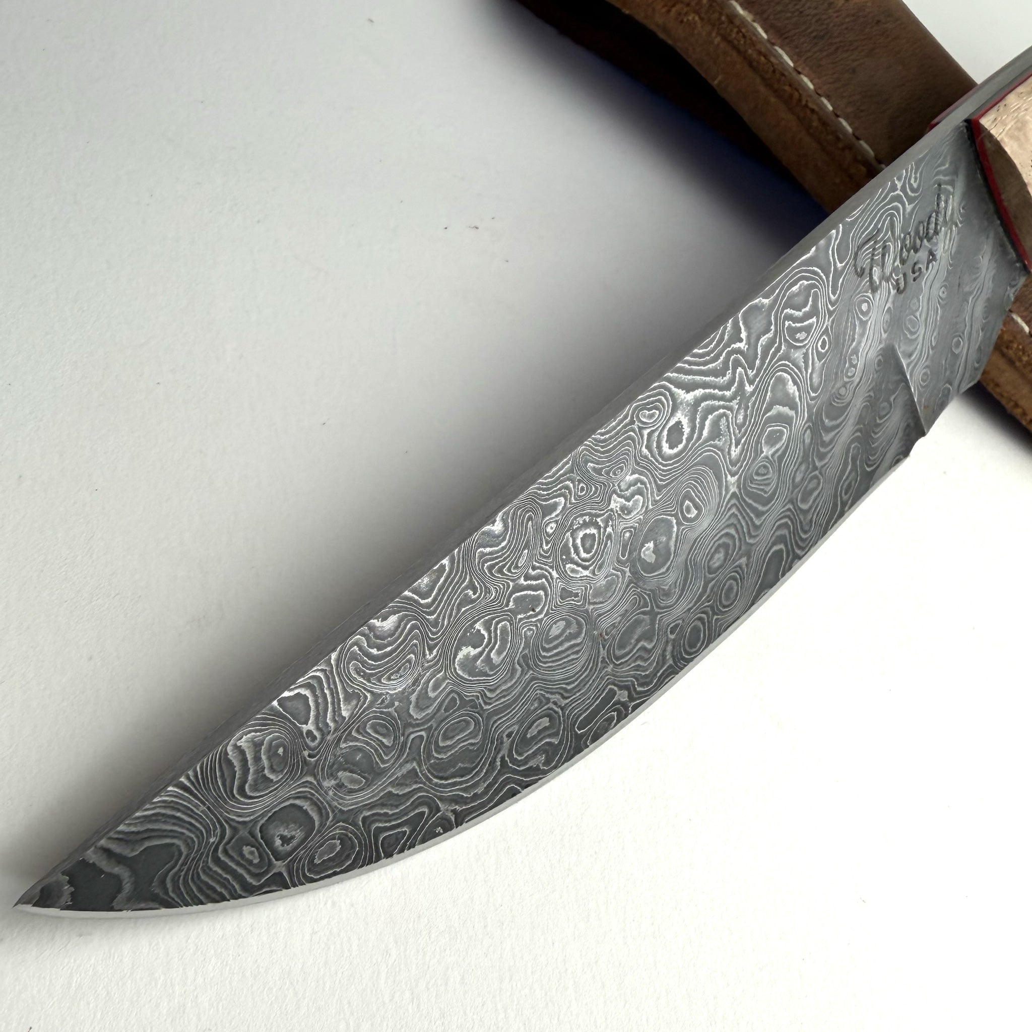 Gus' BirthRight Small Fighter