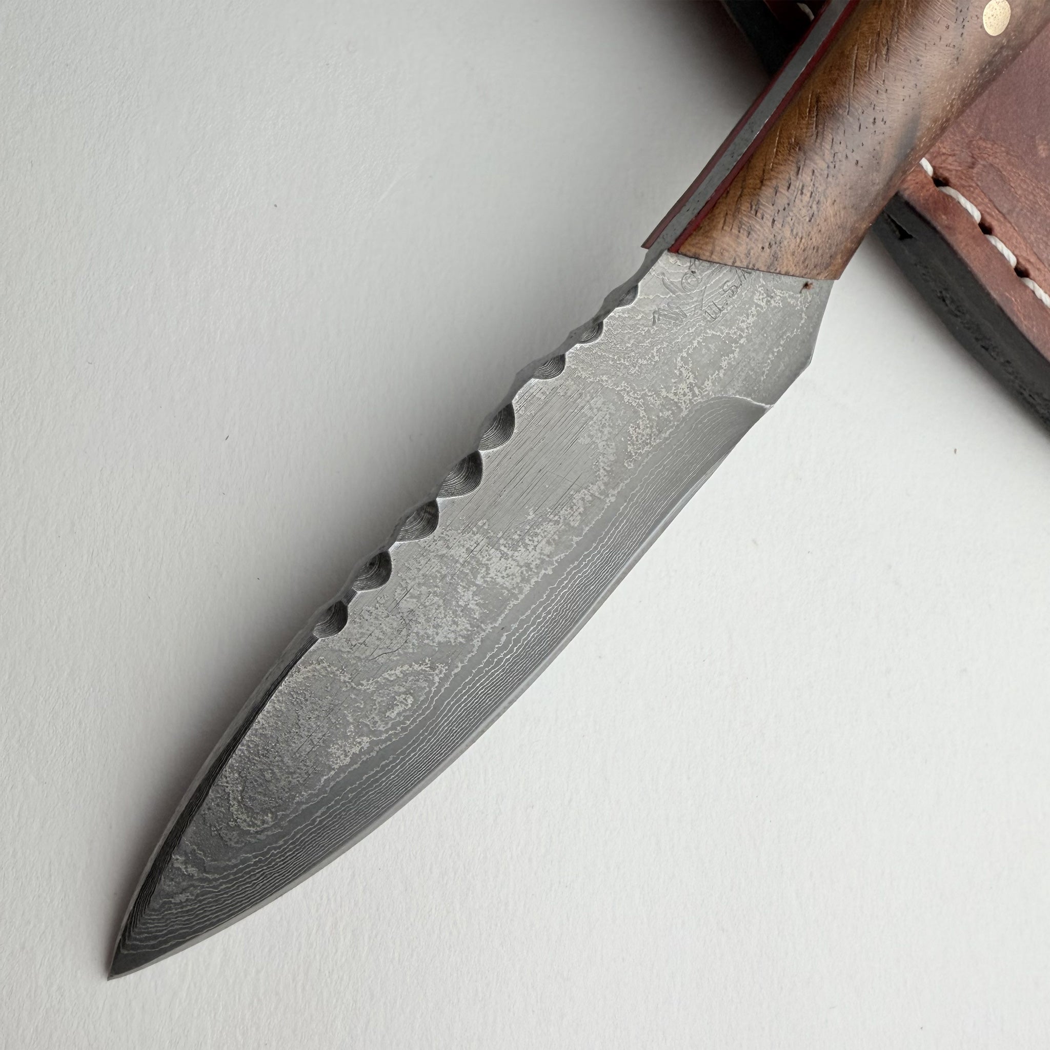 Woody's Drama Queen Red Dot Special