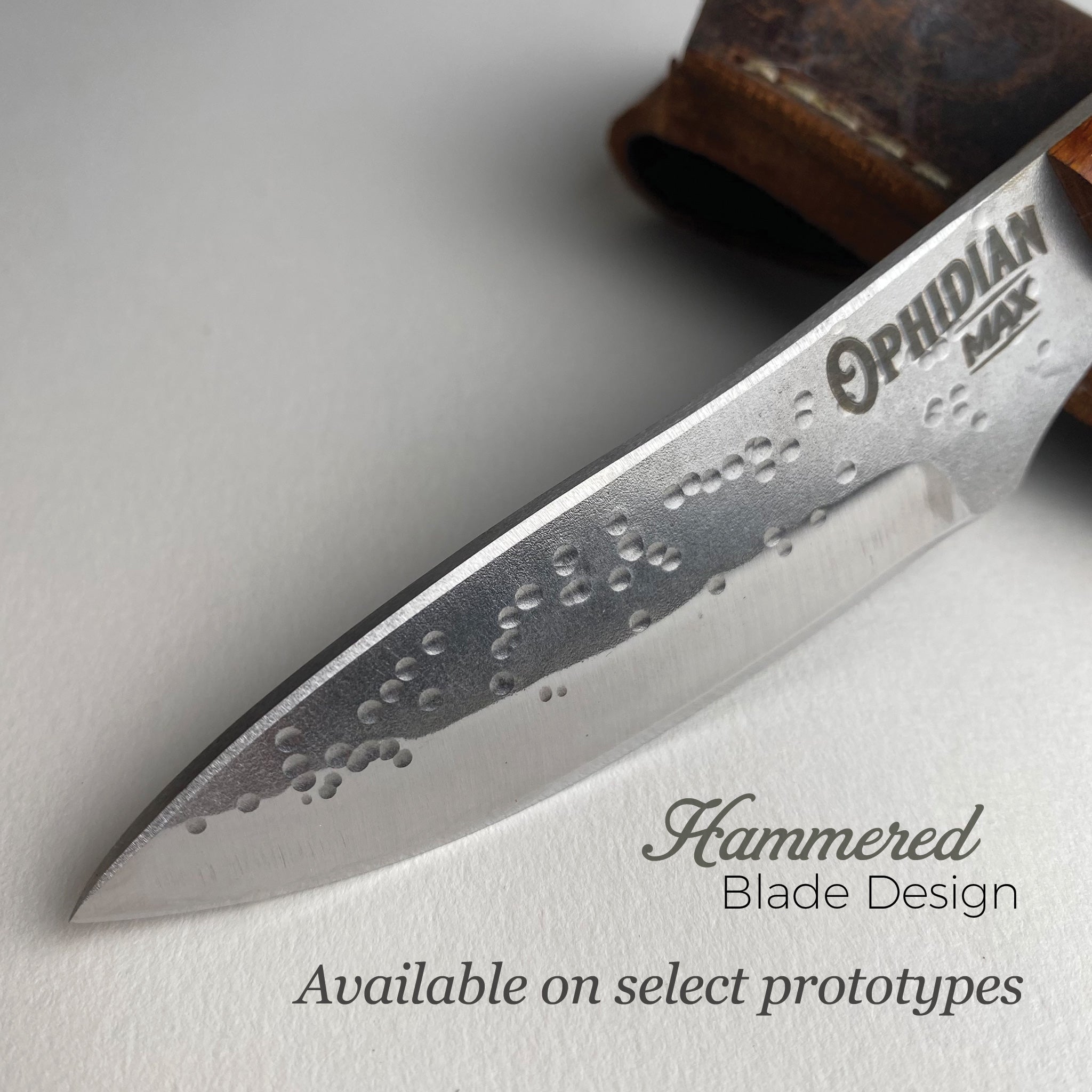 Ophidian MAX Prototypes